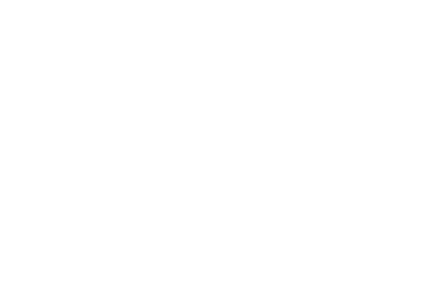Dragonfly Projects