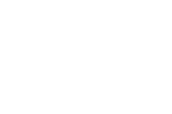 PLENIUM Informationstechnologien